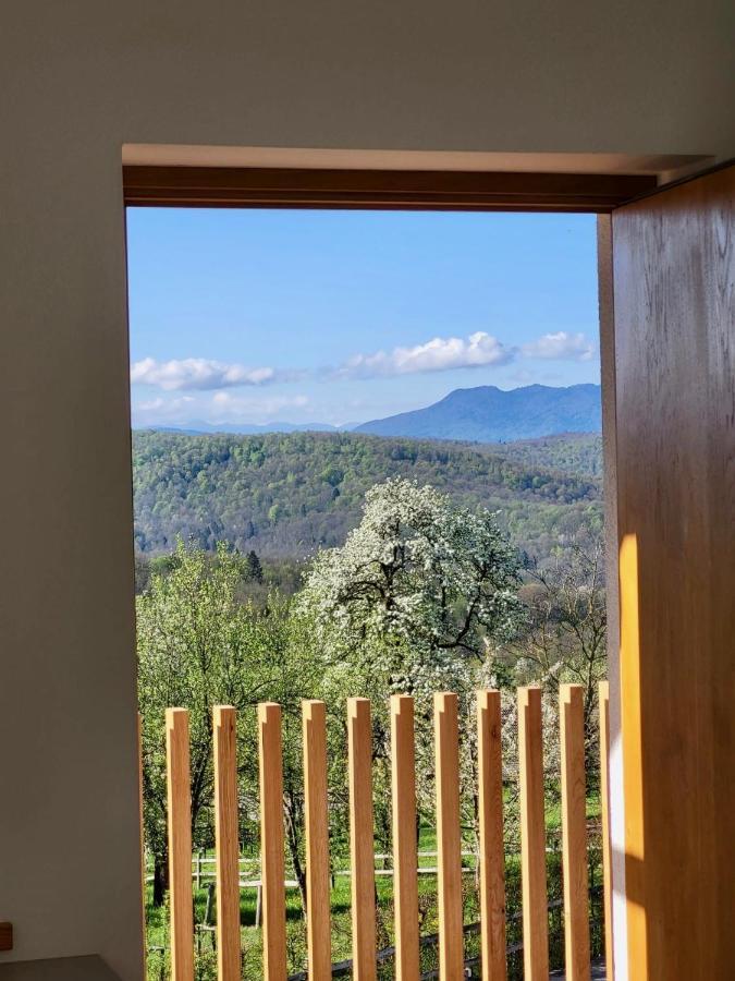 Guest House Domacija Krnc Hrib pri Hinjah Exteriör bild
